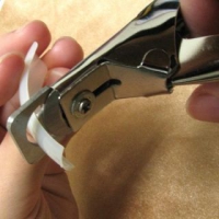 Nail cutter